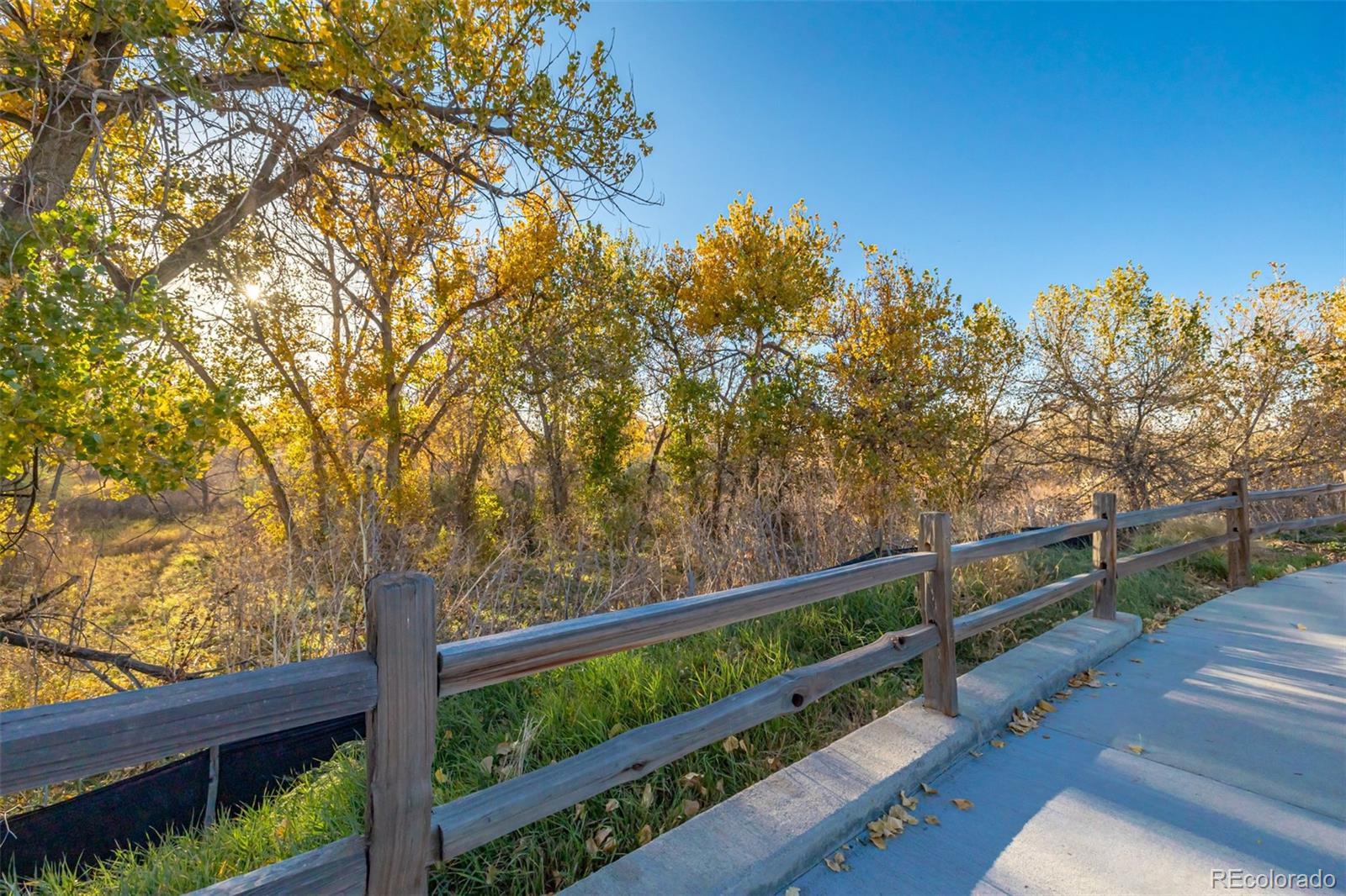 9291 Twenty Mile Road Unit: 403