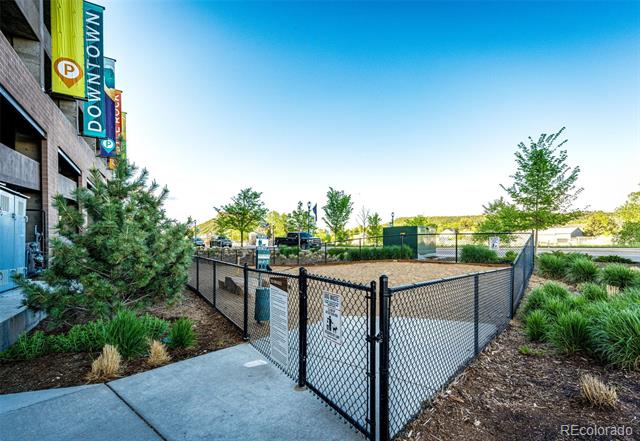 20 Wilcox Street Unit: 409