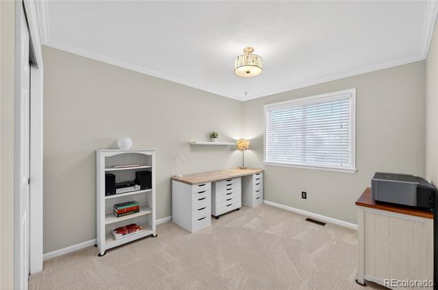 39 Buckthorn Drive