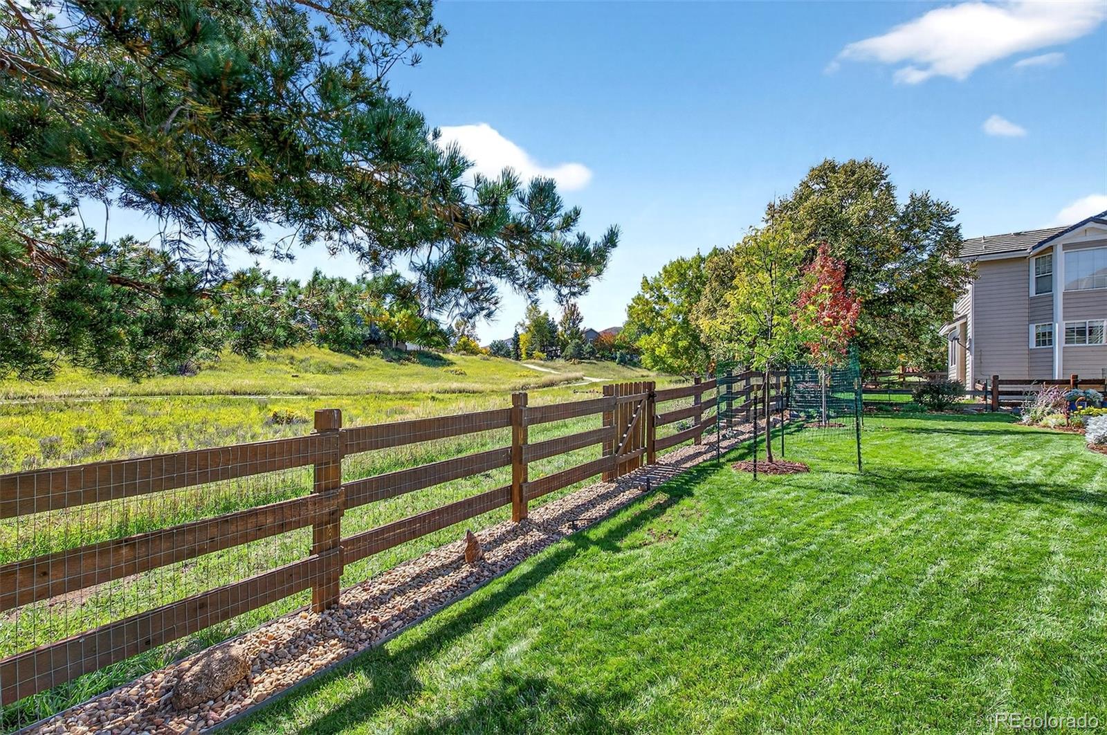39 Buckthorn Drive