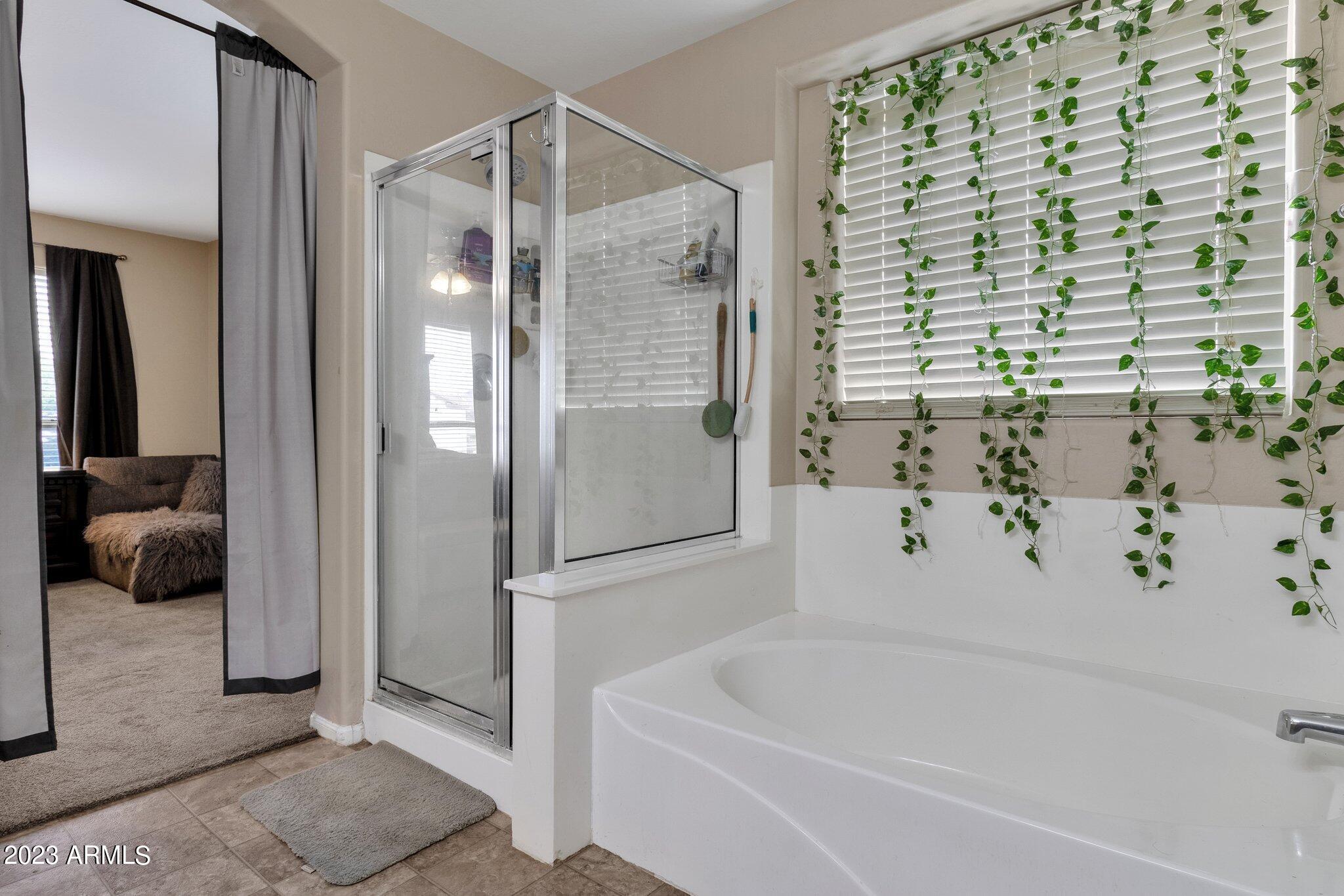 35755 N MIRANDESA Drive