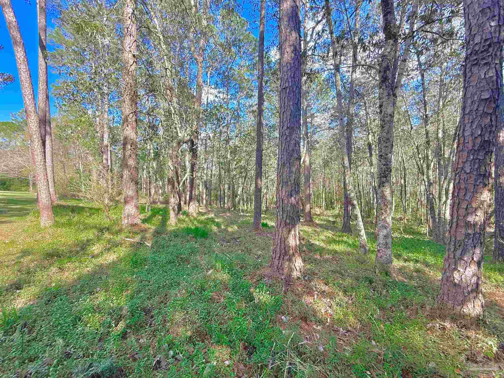 185 Deerfoot Ln