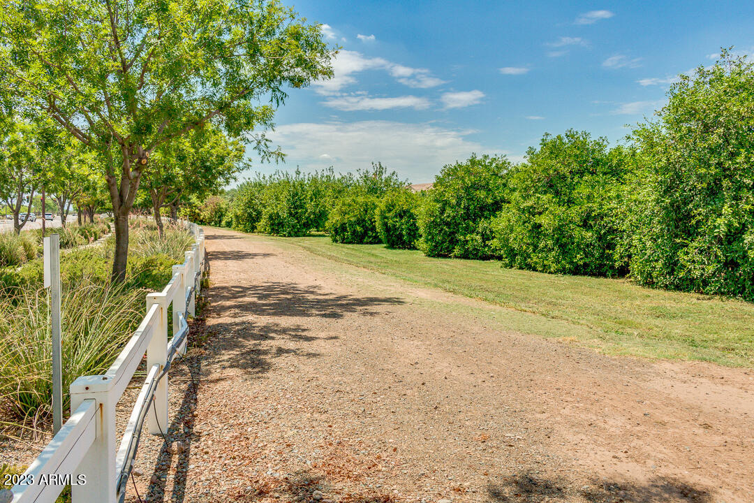 3075 E AGRITOPIA Loop N