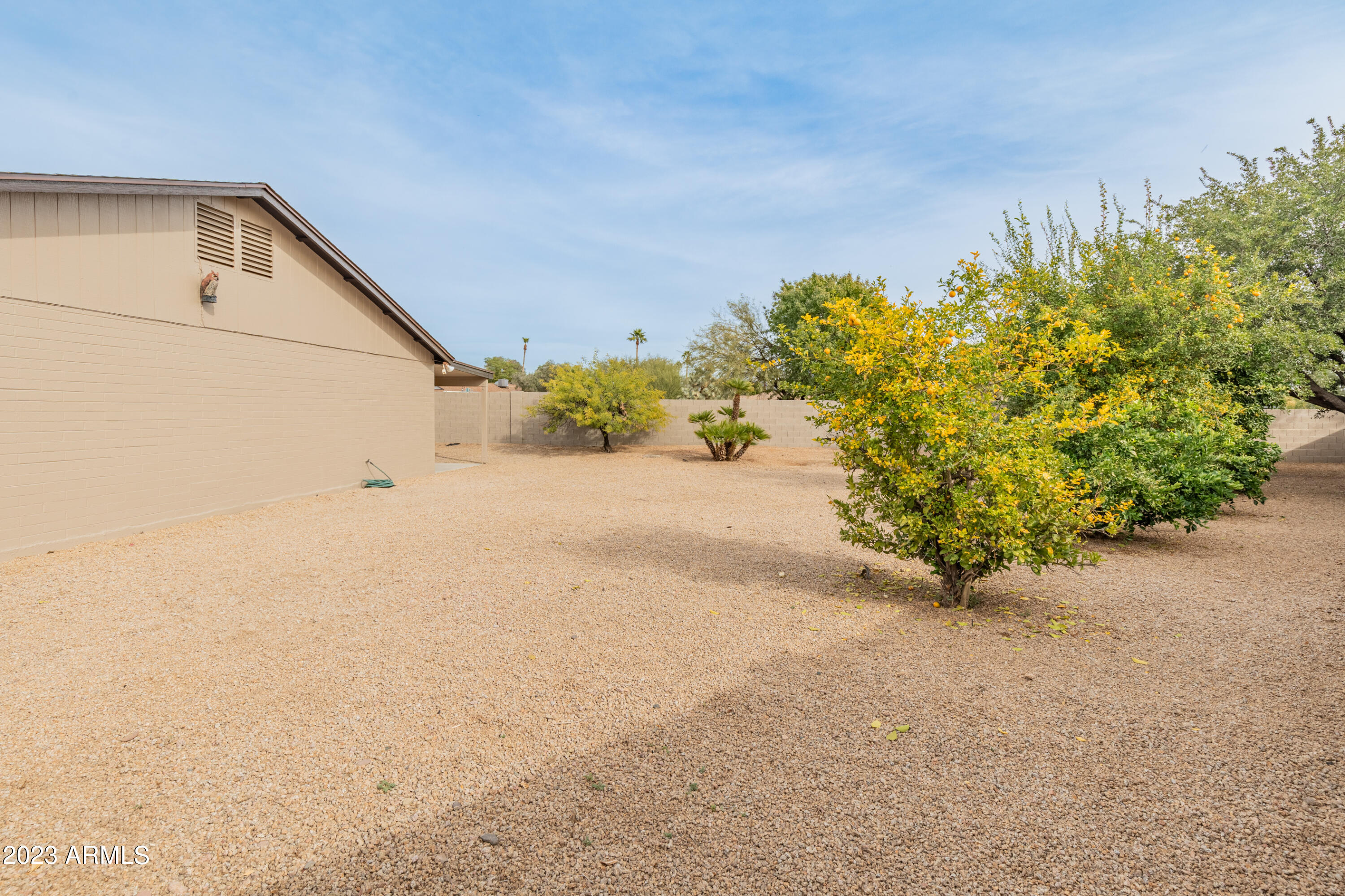 6221 E Gelding Drive