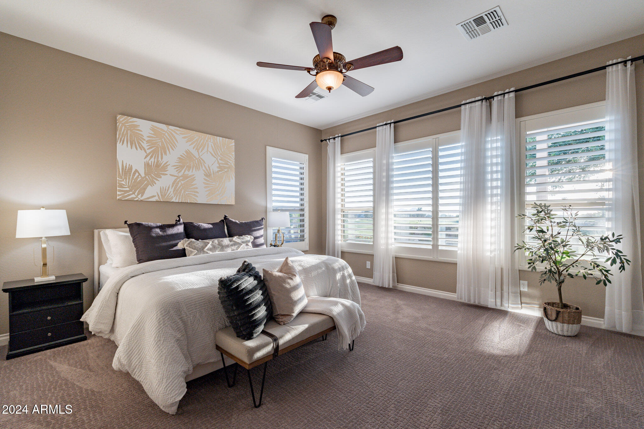 36894 N CRUCILLO Drive