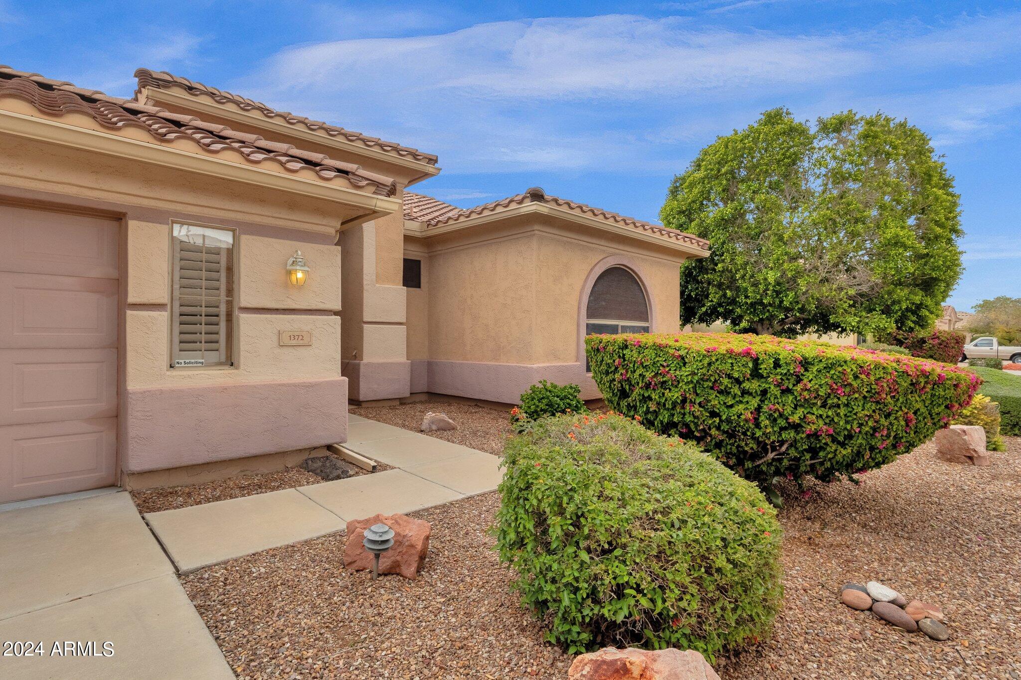 1372 W LONGHORN Drive