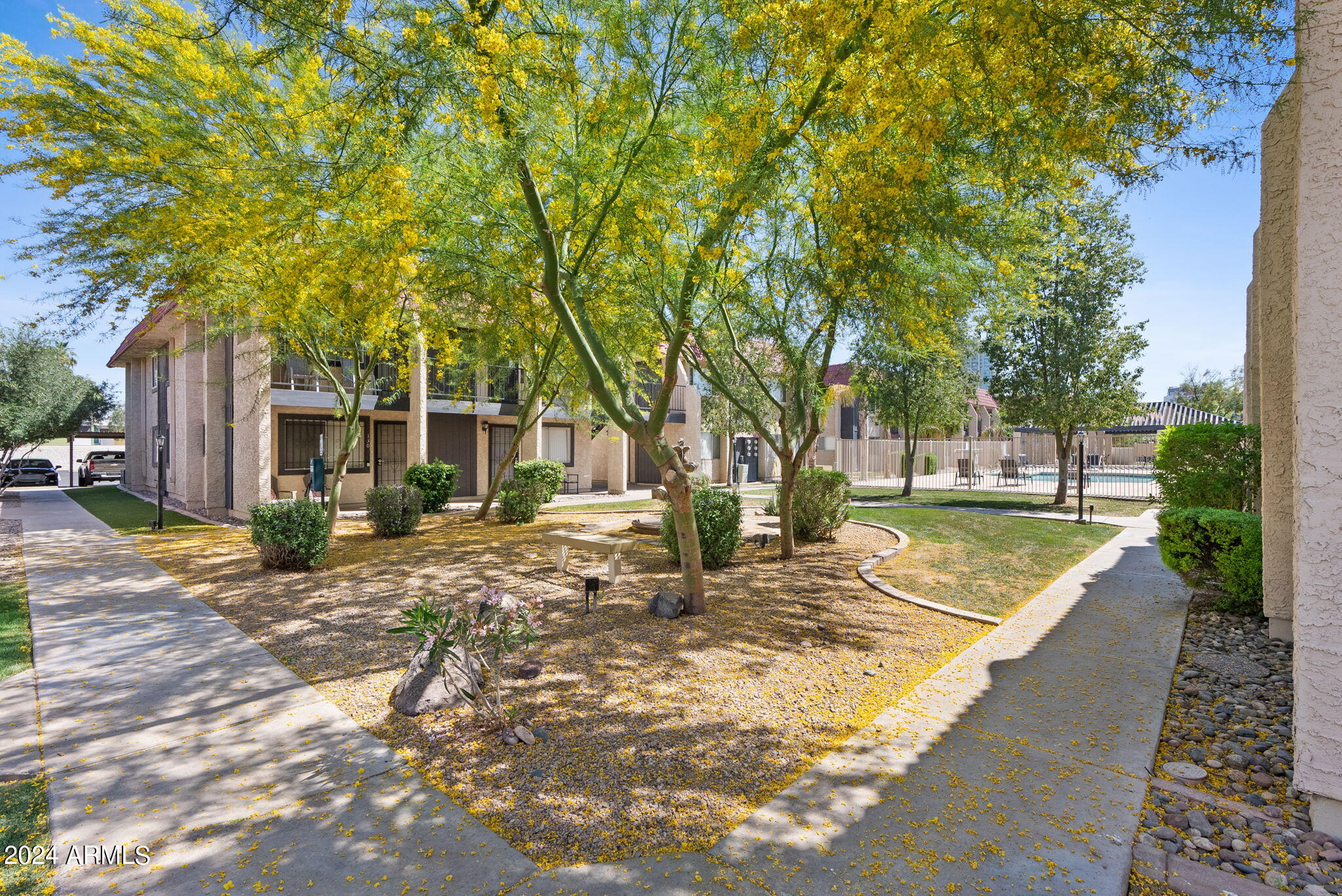 700 W UNIVERSITY Drive # 154
