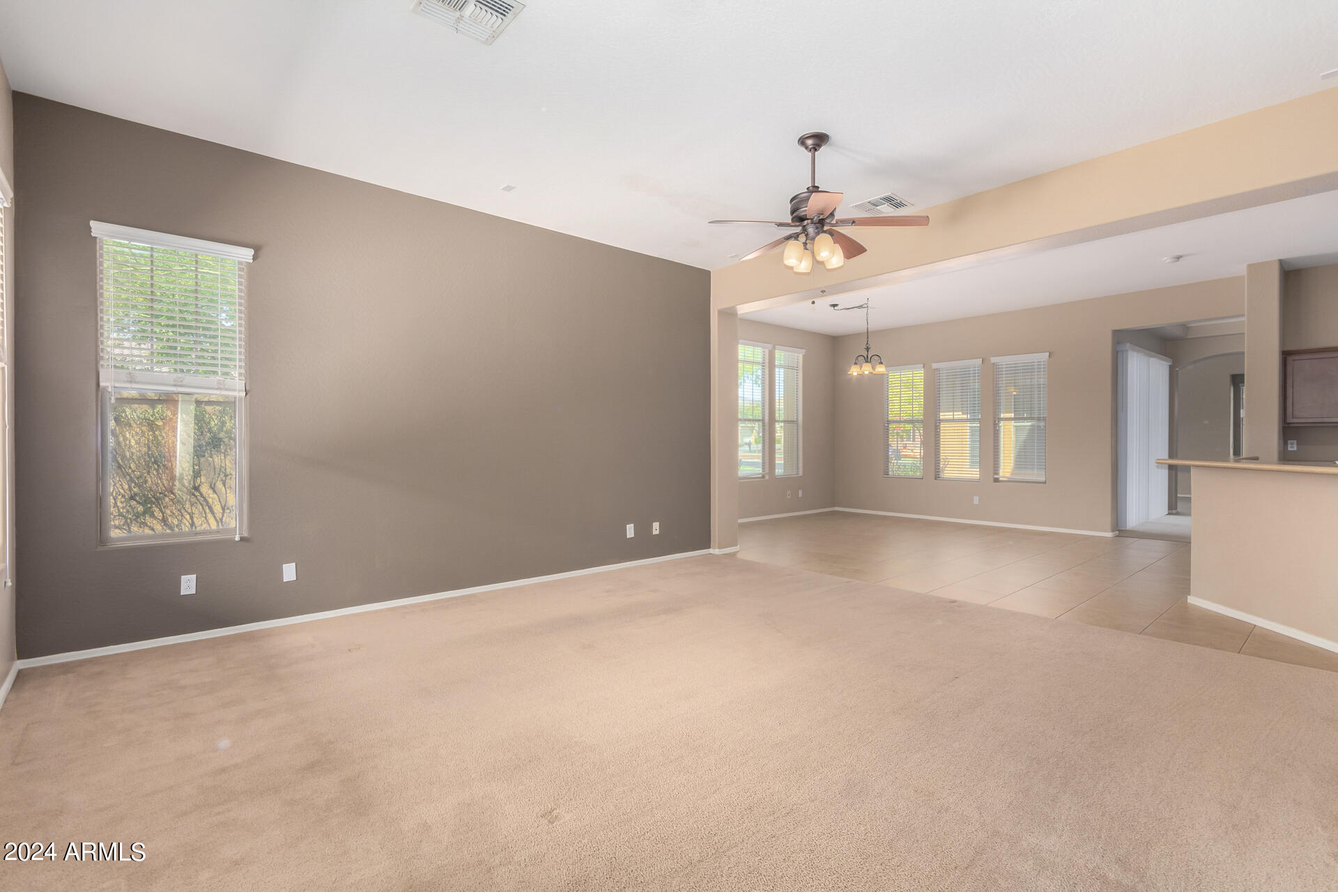 20597 W WALTON Drive