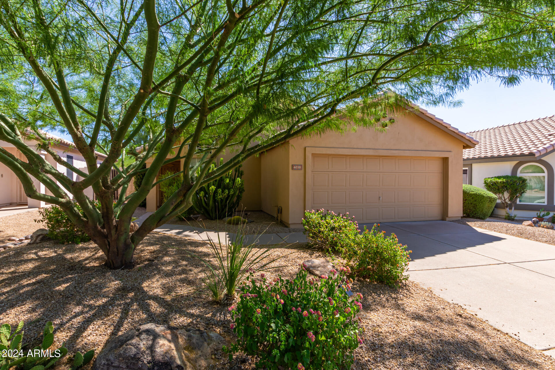 4039 E DESERT MARIGOLD Drive
