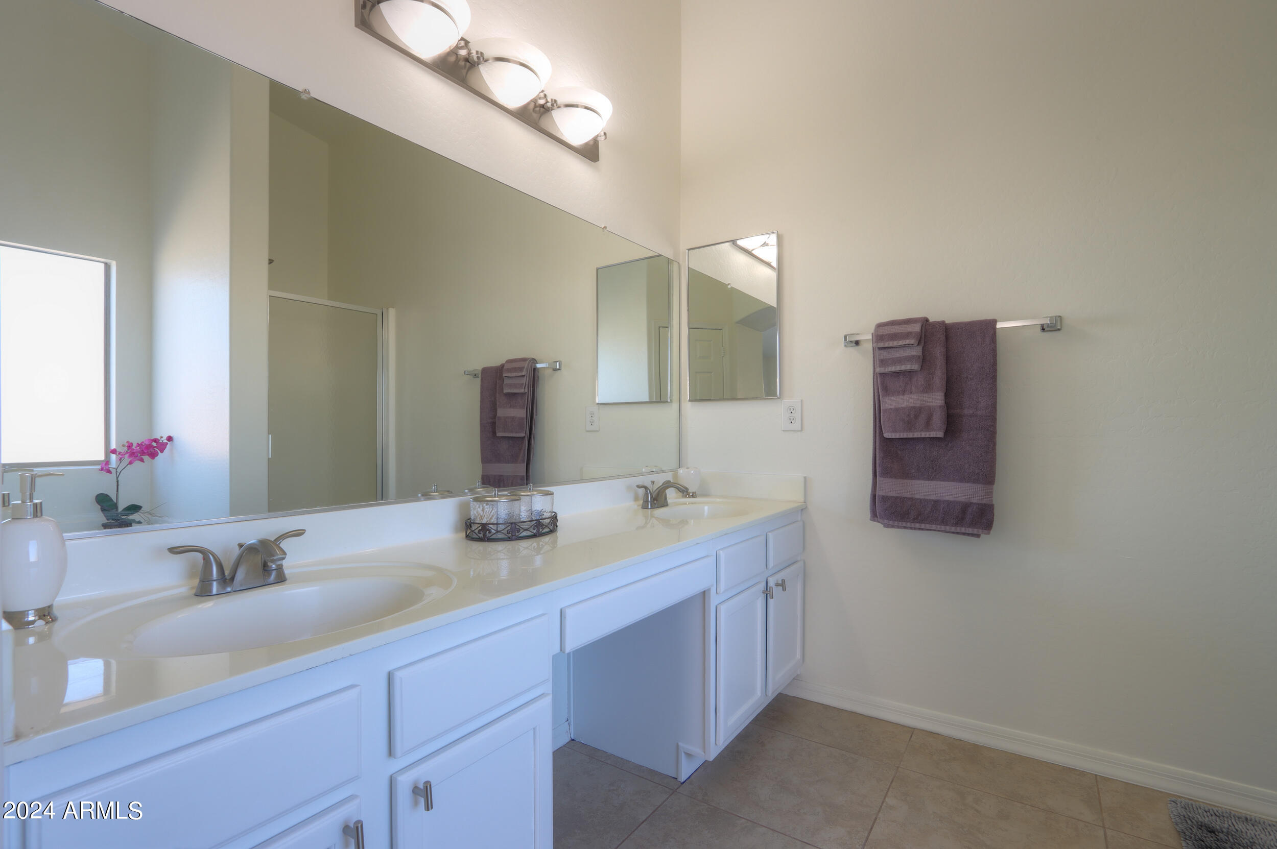 43332 W WILD HORSE Trail