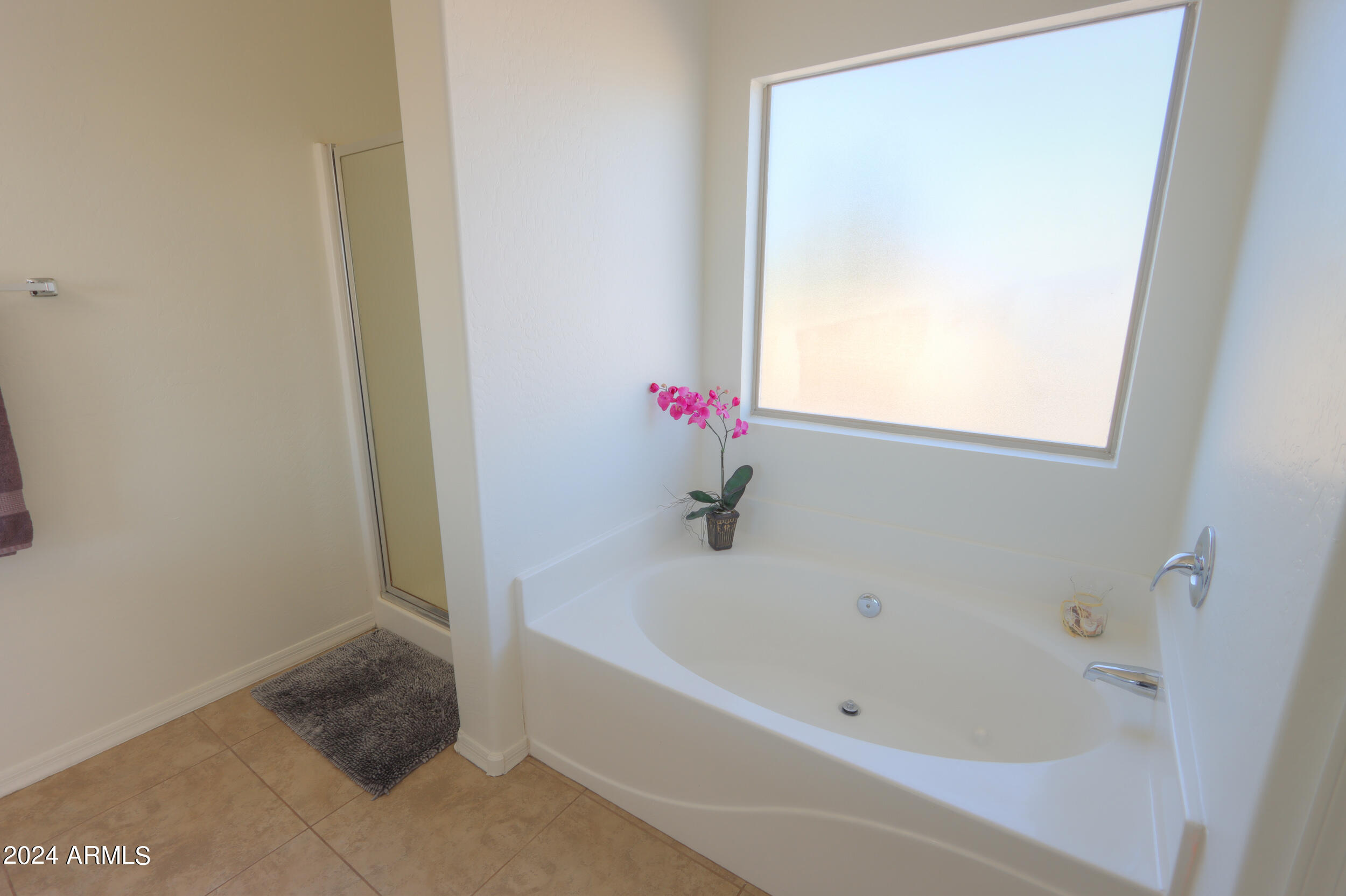 43332 W WILD HORSE Trail