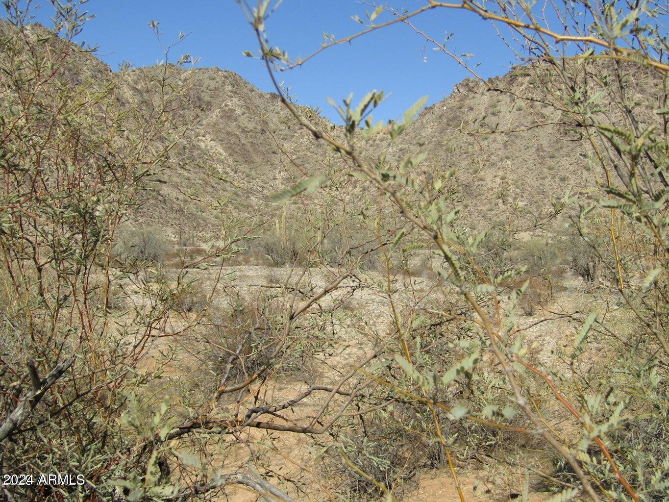 53002 W PAPAGO Road Unit: -