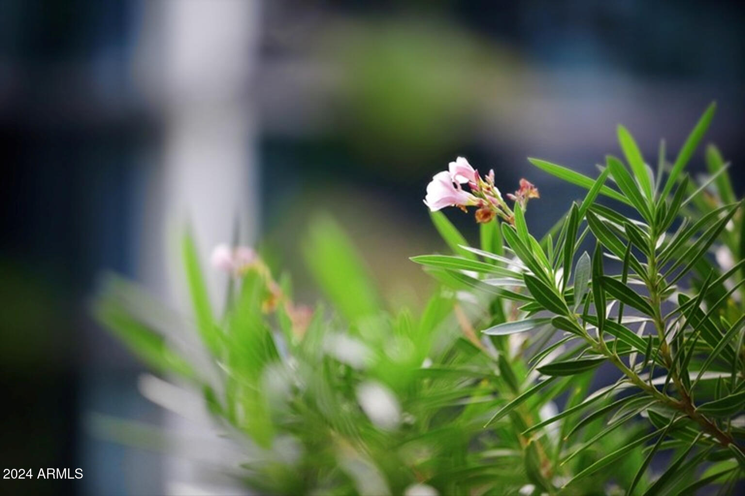 7120 E KIERLAND Boulevard, 520