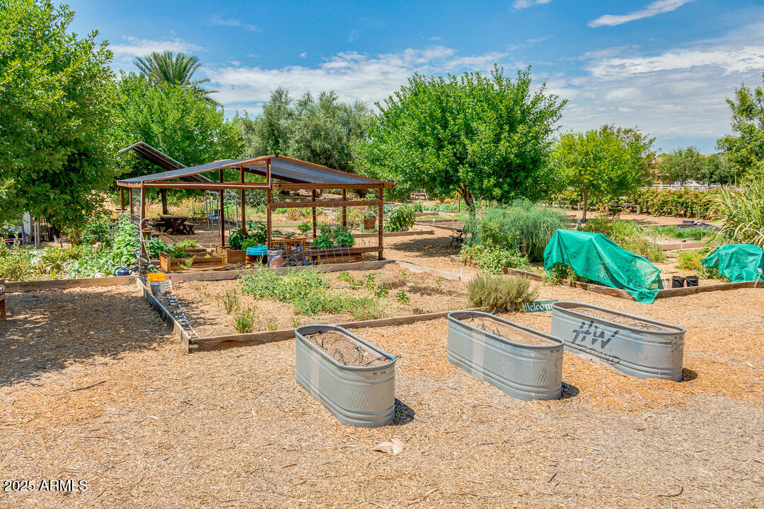 3085 E CAMELLIA Drive