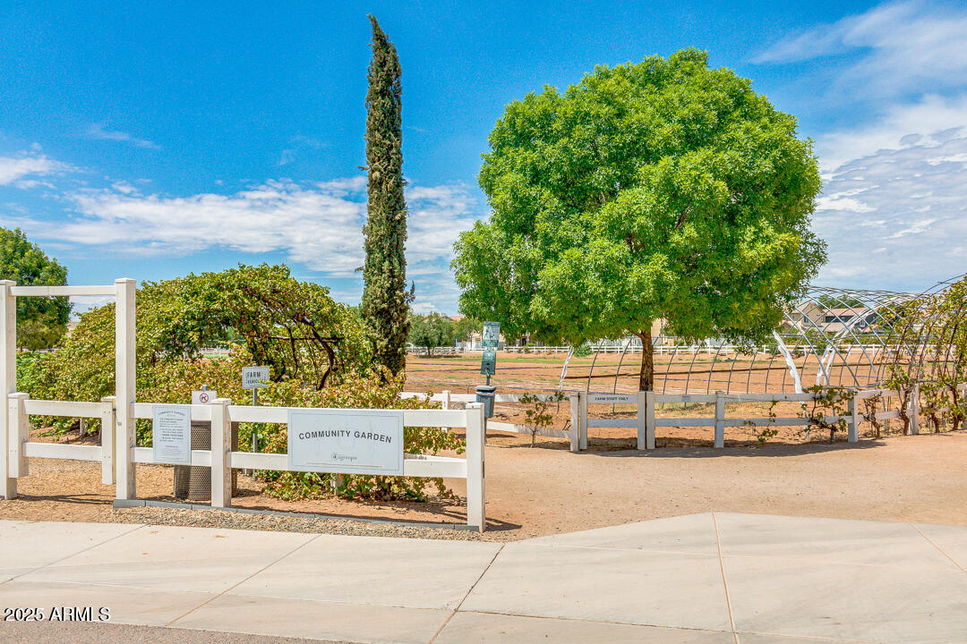 3085 E CAMELLIA Drive