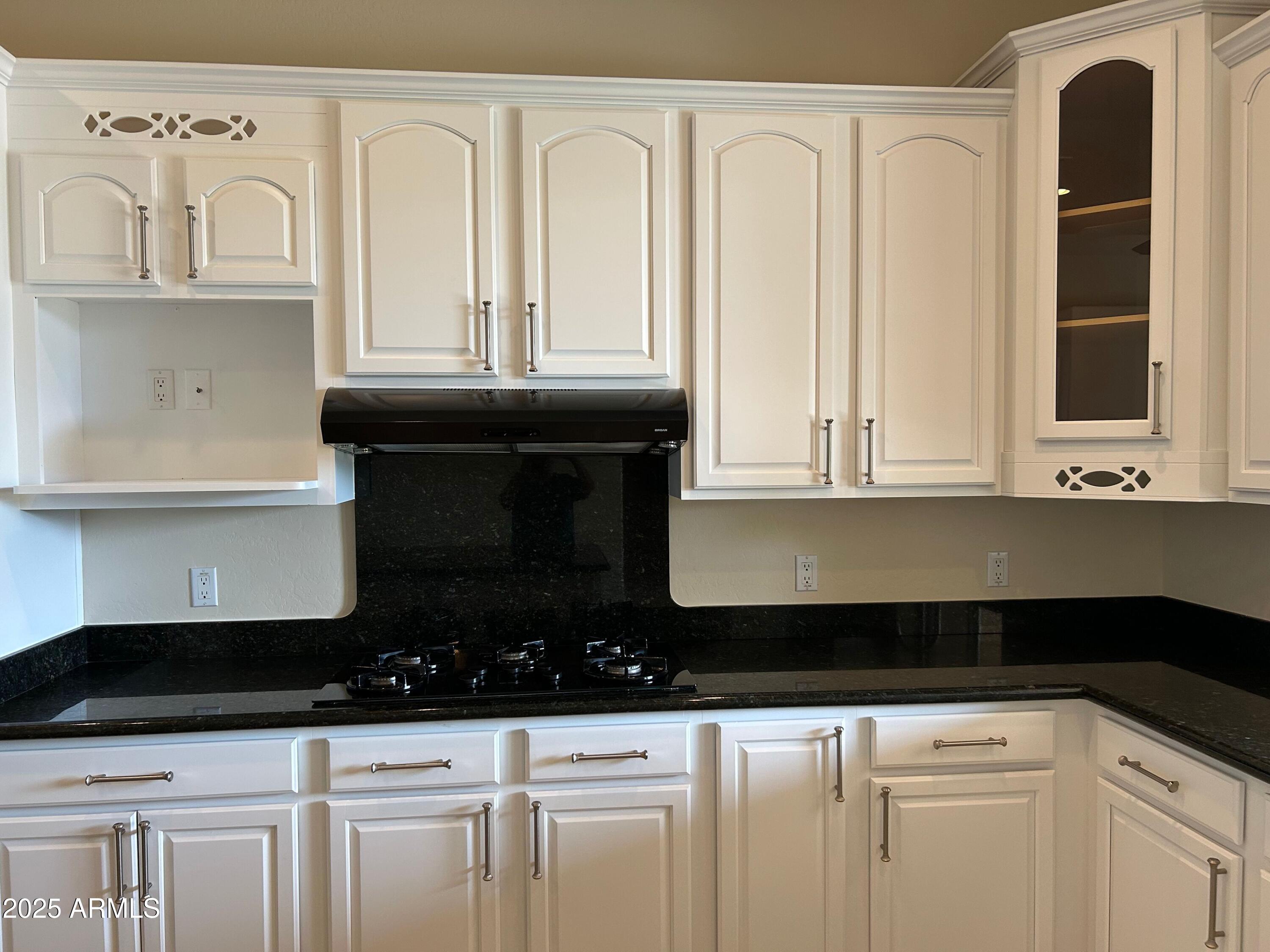 22239 N LOS CABALLOS Drive