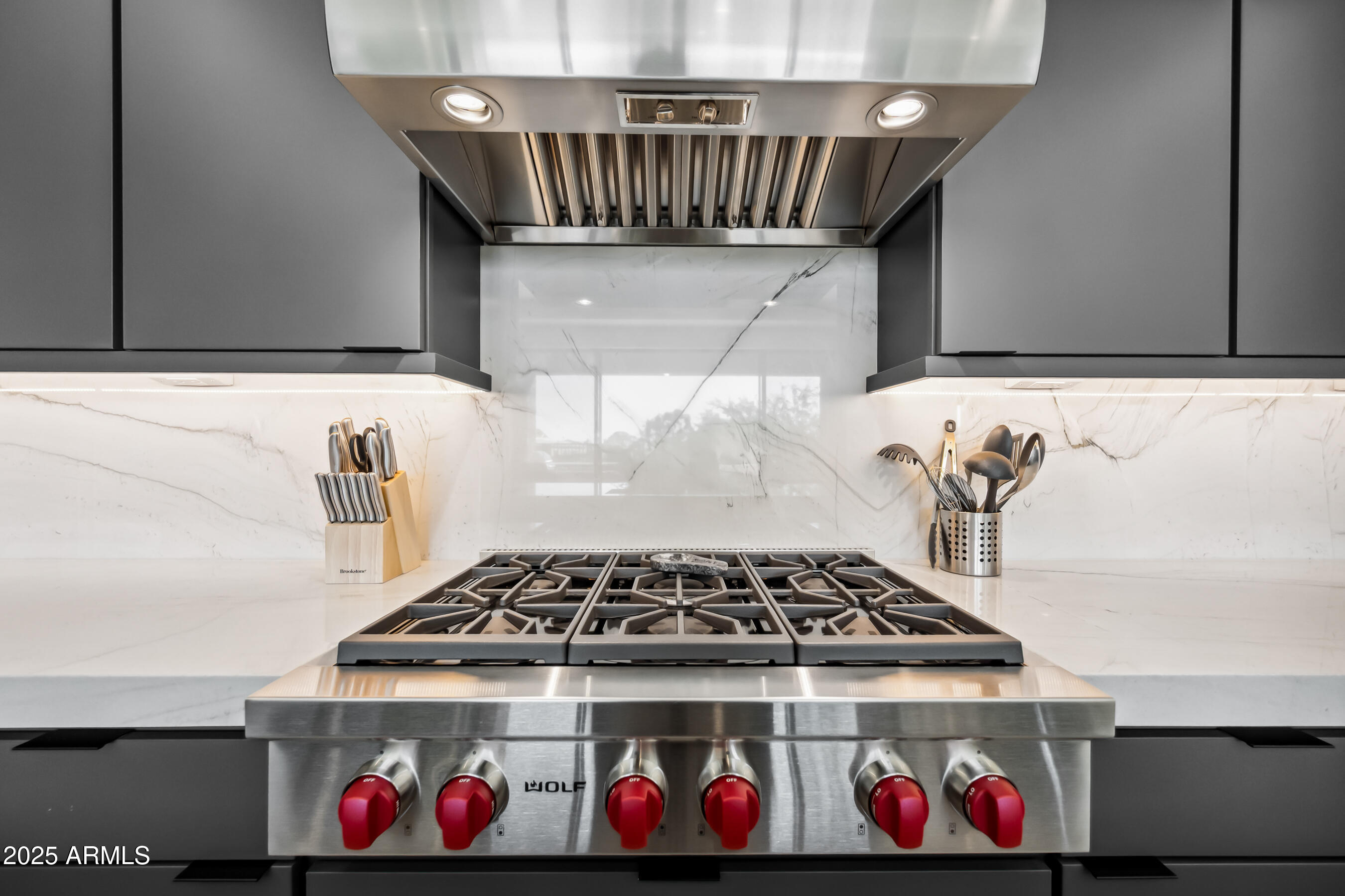 12746 E CASITAS DEL RIO Drive E