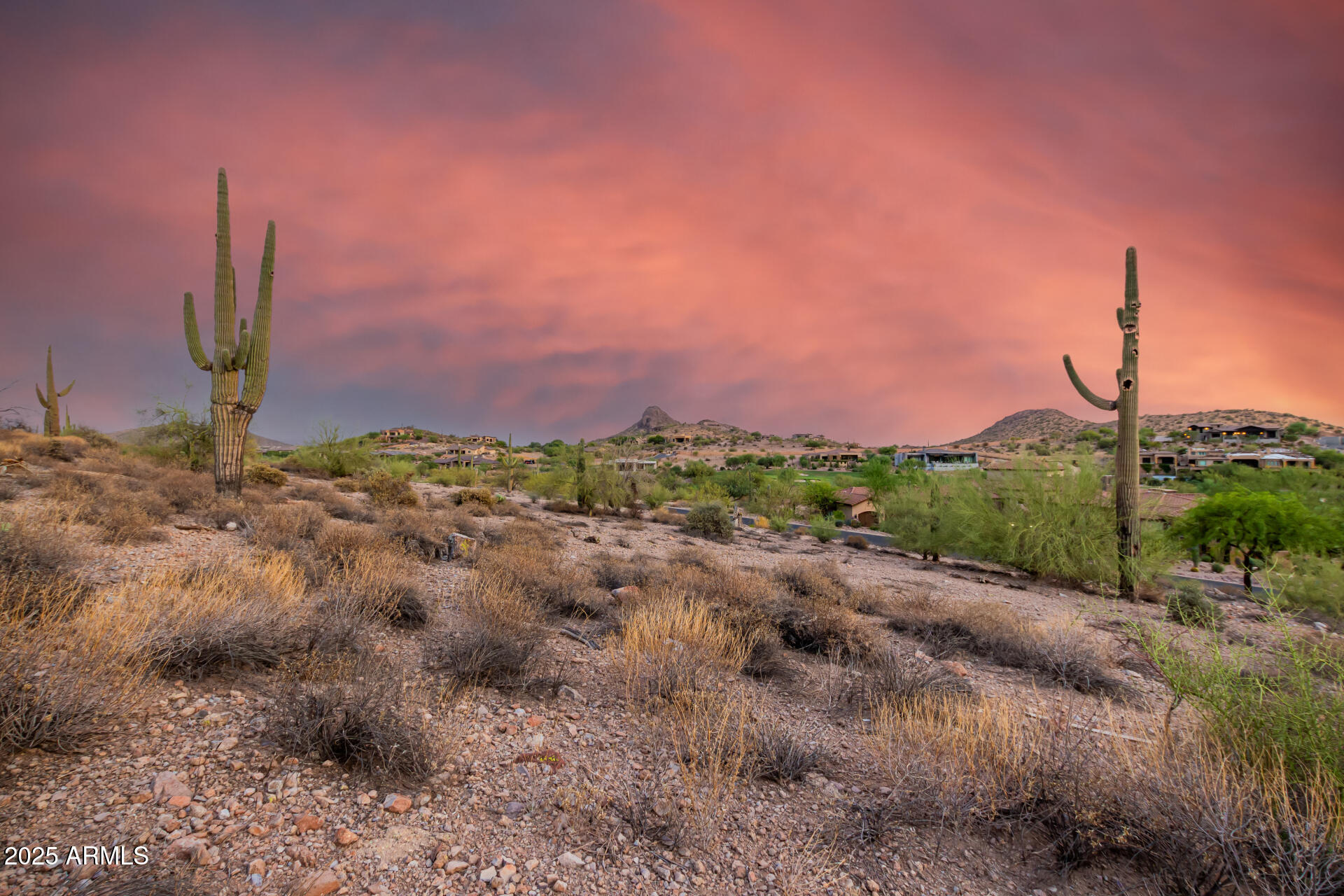 9160 E SUPERSTITION MOUNTAIN Drive 21