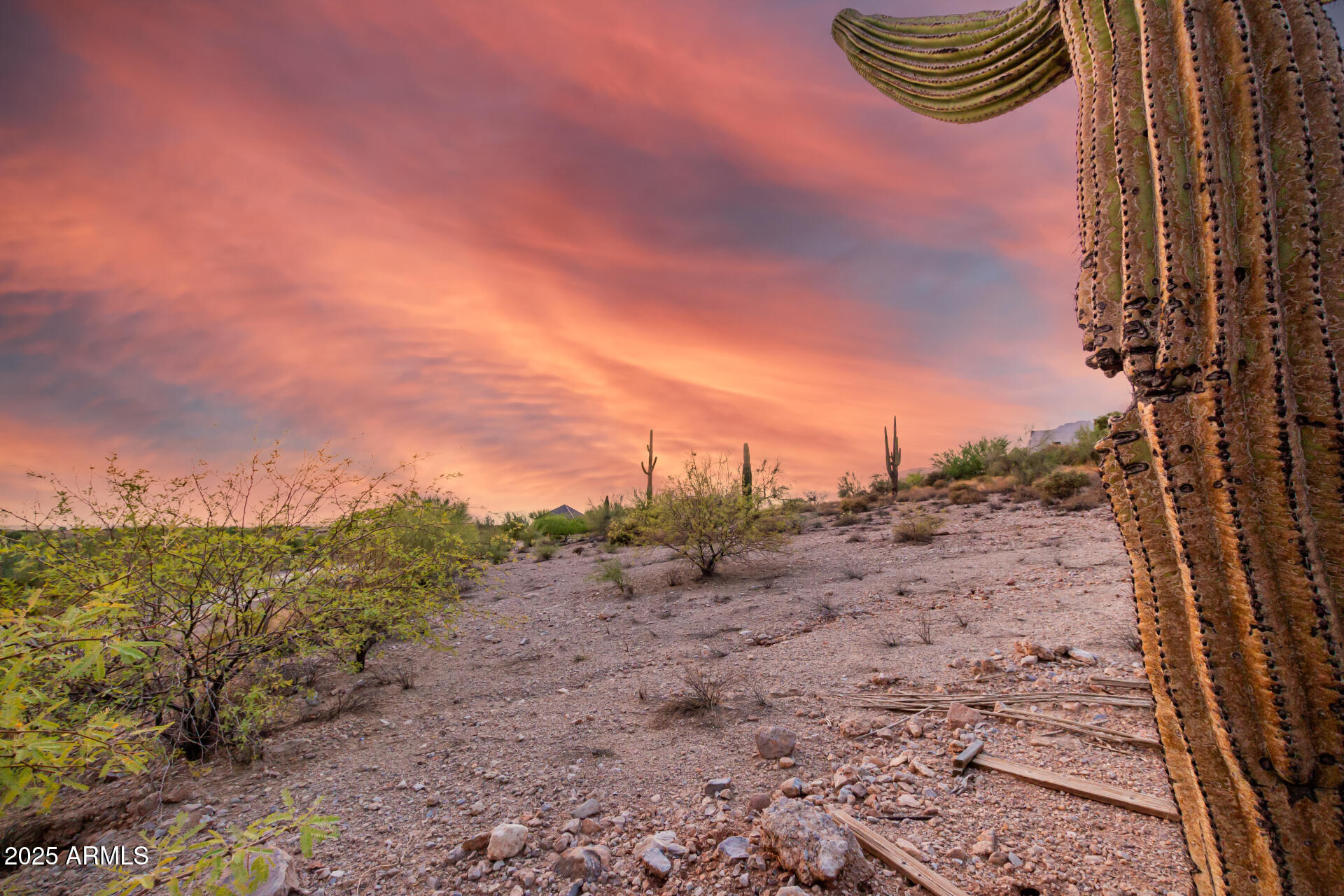 9160 E SUPERSTITION MOUNTAIN Drive 21
