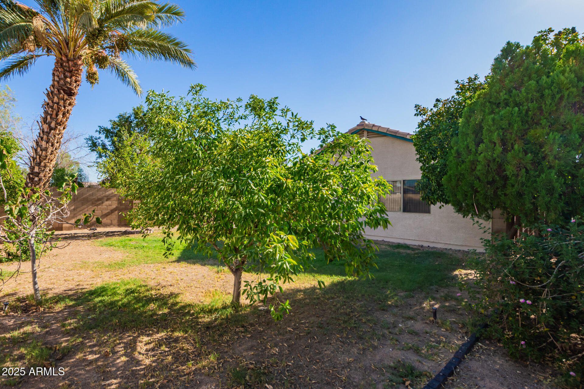 9317 N 85TH Drive