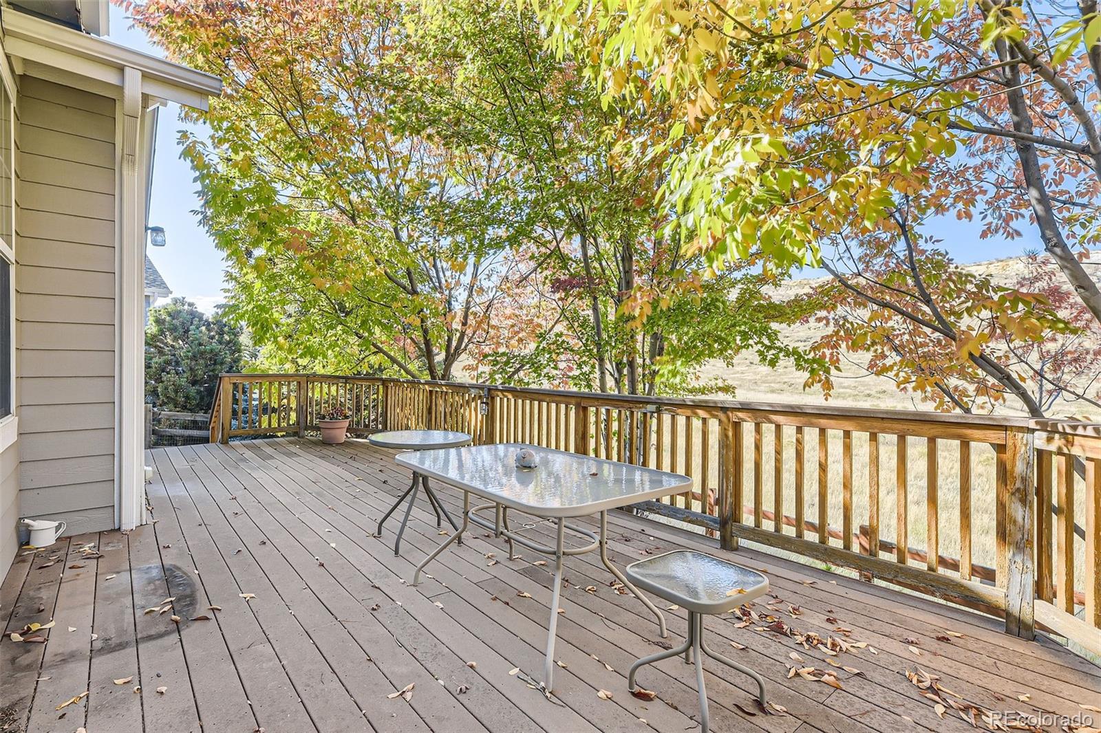 8379 Hackamore Road
