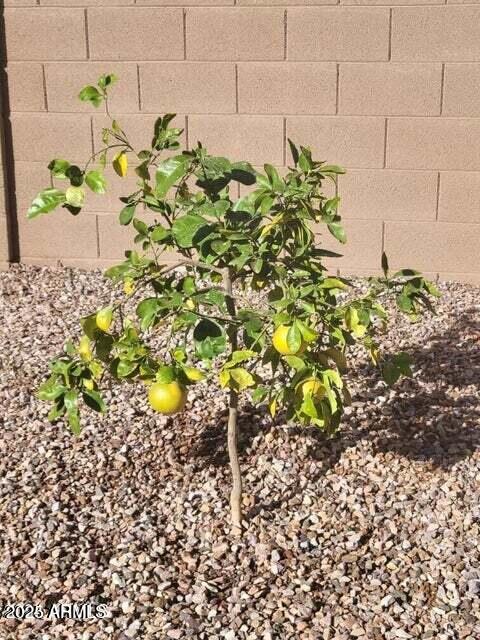 16802 W DESERT MIRAGE Drive