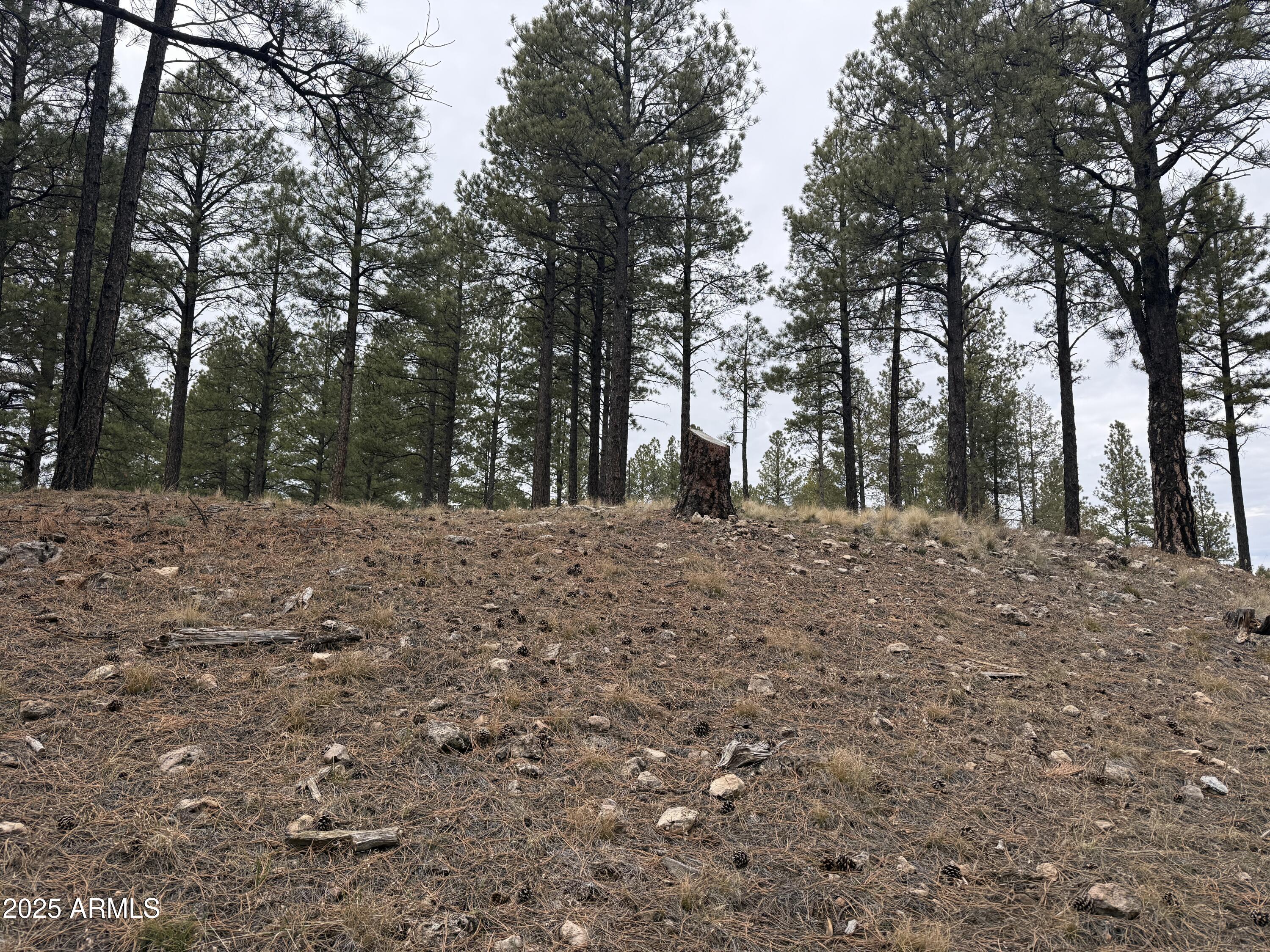 3616 S WOODLAND HILLS Drive 375