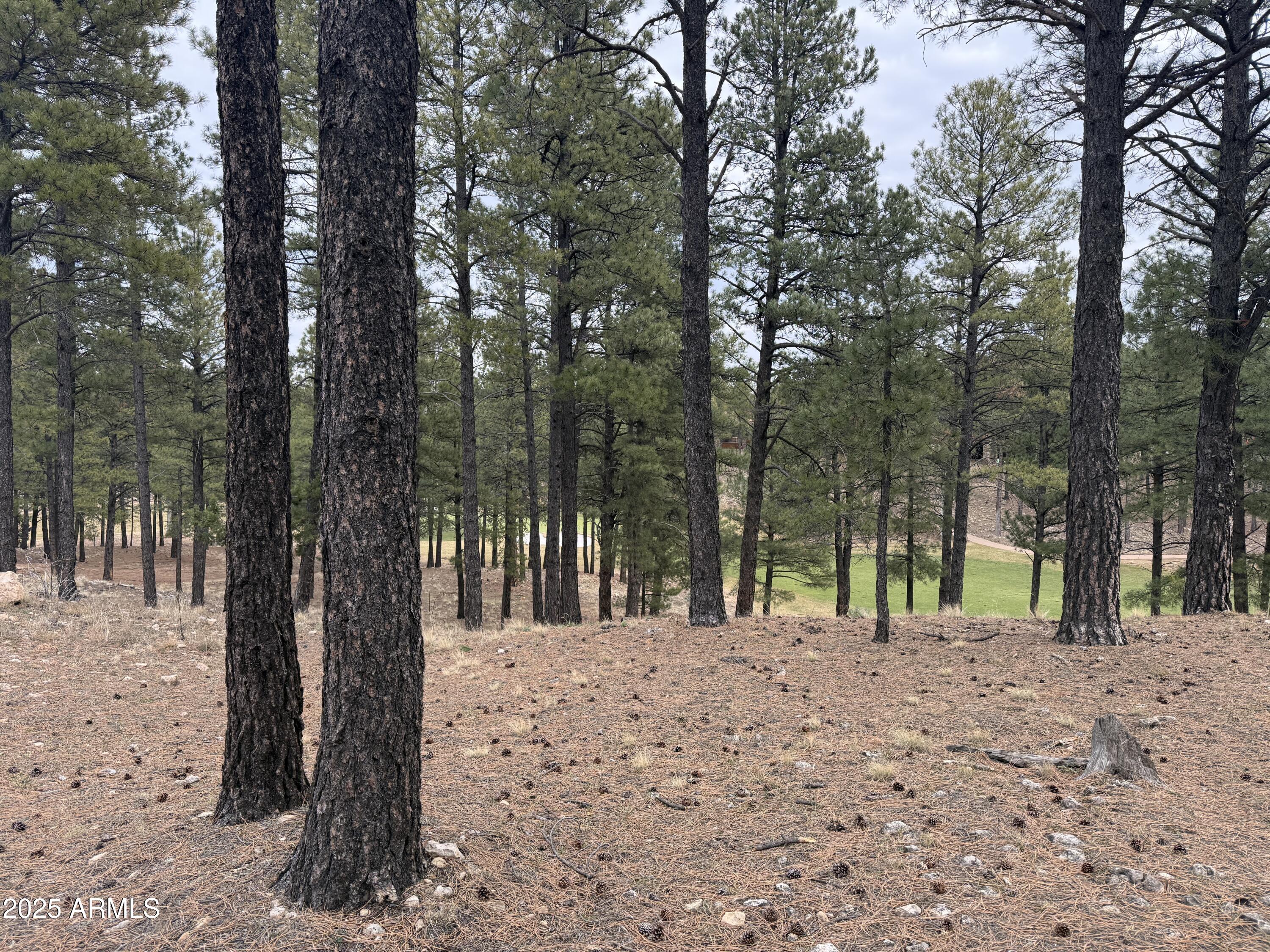 3616 S WOODLAND HILLS Drive 375