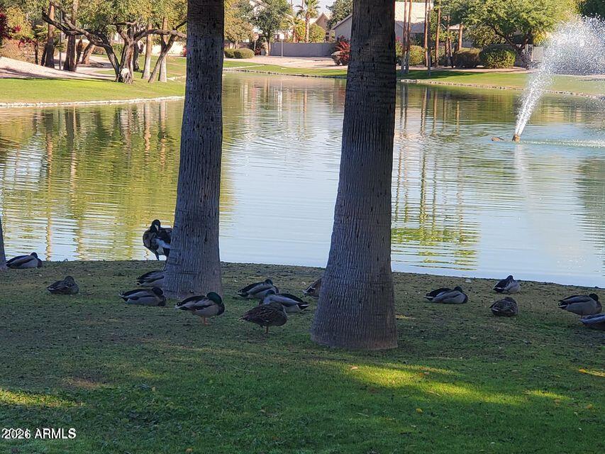 1848 E CHILTON Drive