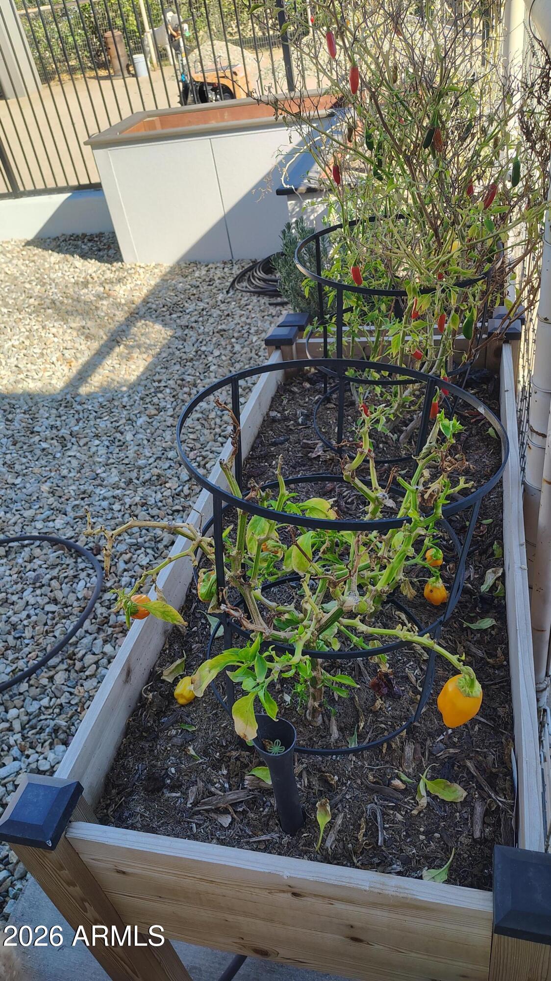 15420 E VIA DEL RANCHO