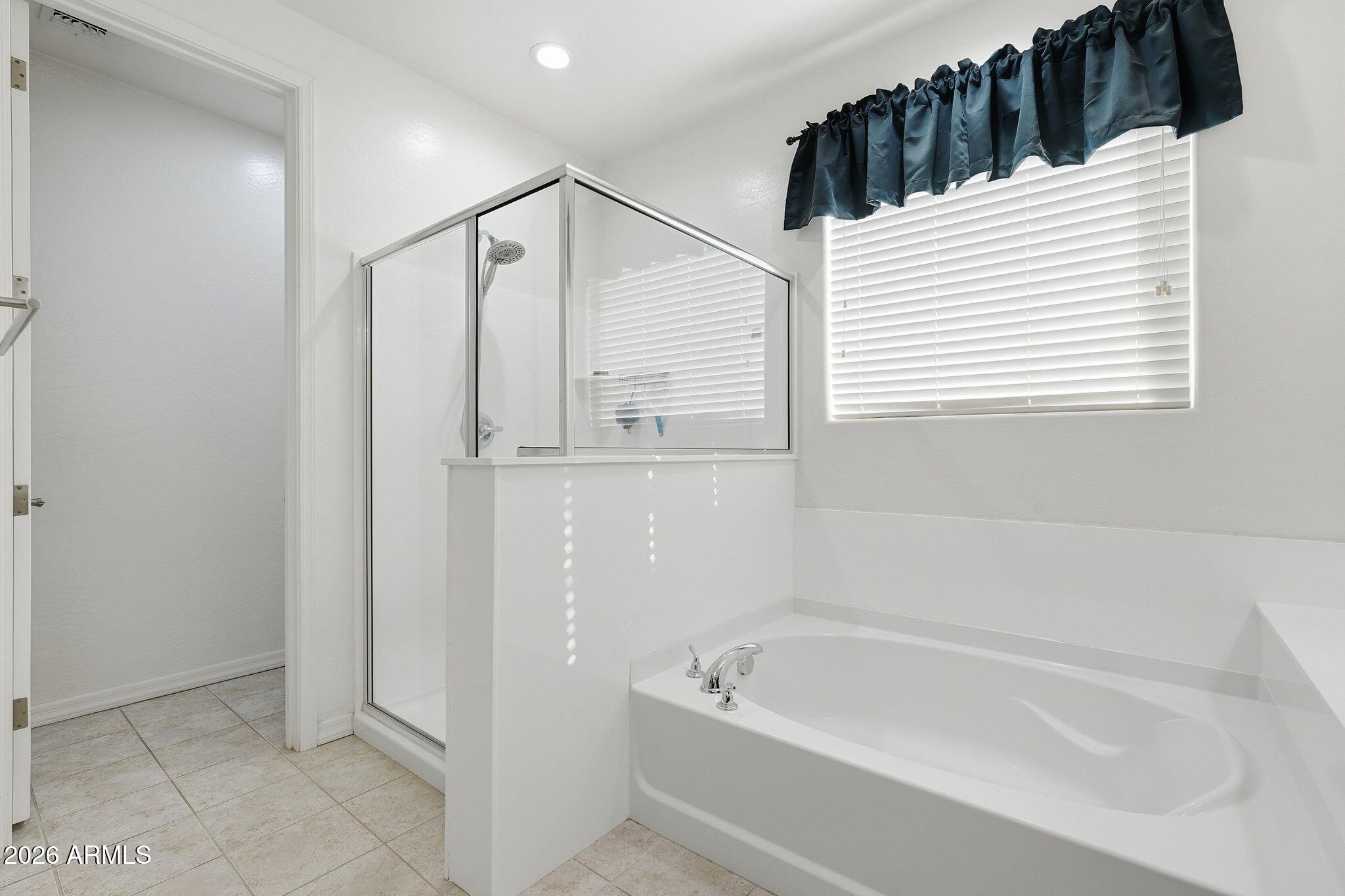 867 W DESERT GLEN Drive