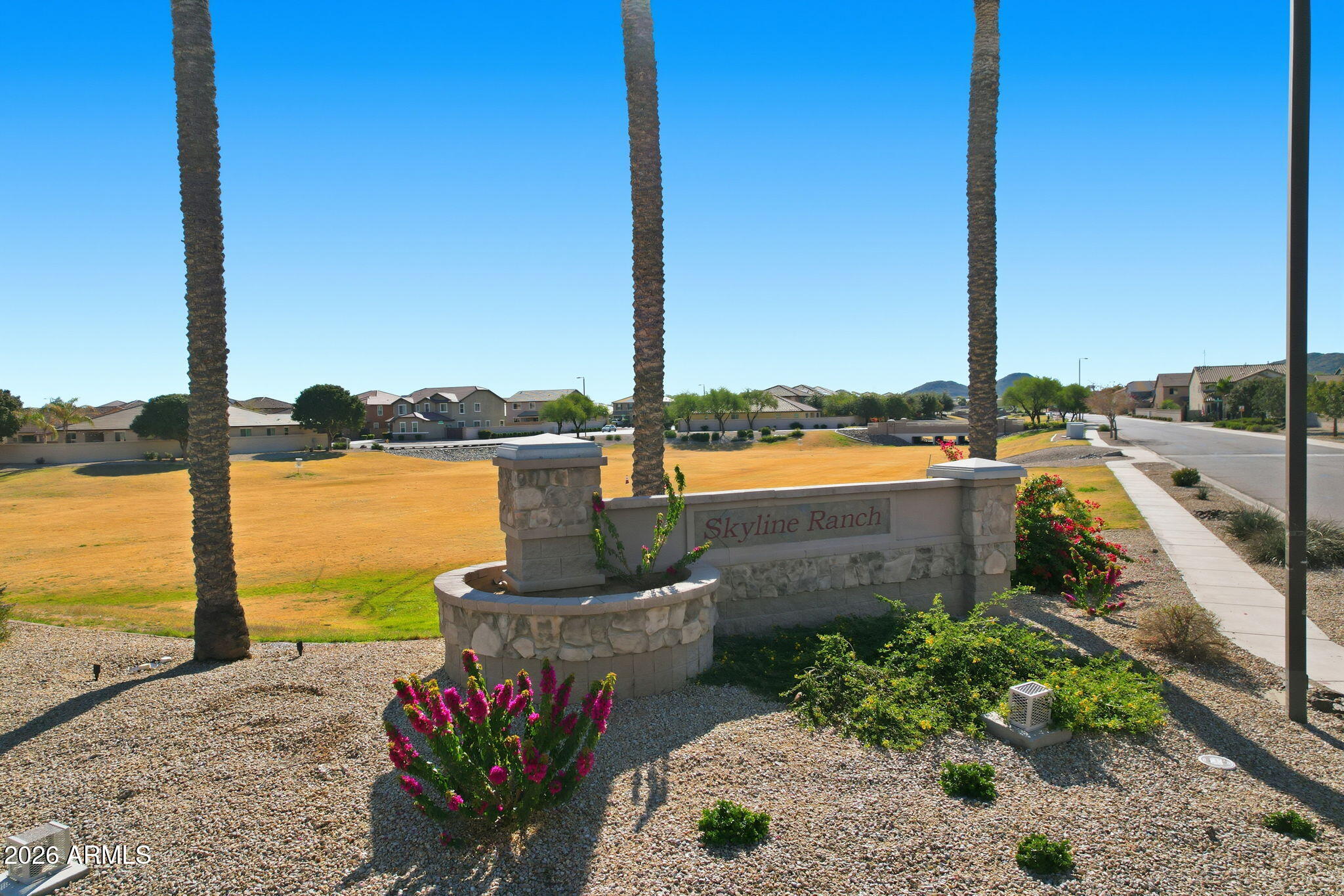 867 W DESERT GLEN Drive