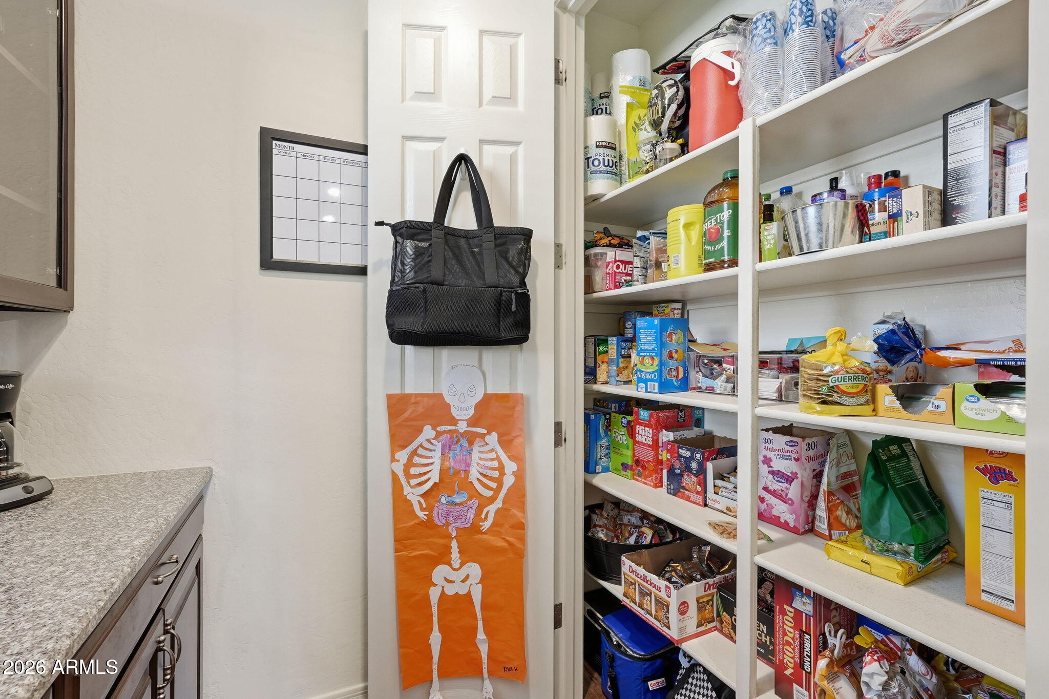 867 W DESERT GLEN Drive