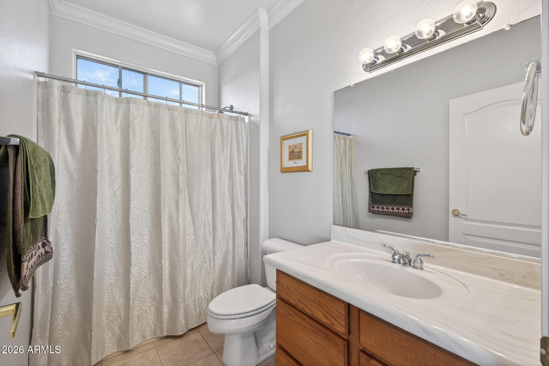 19708 N JOJOBA Court