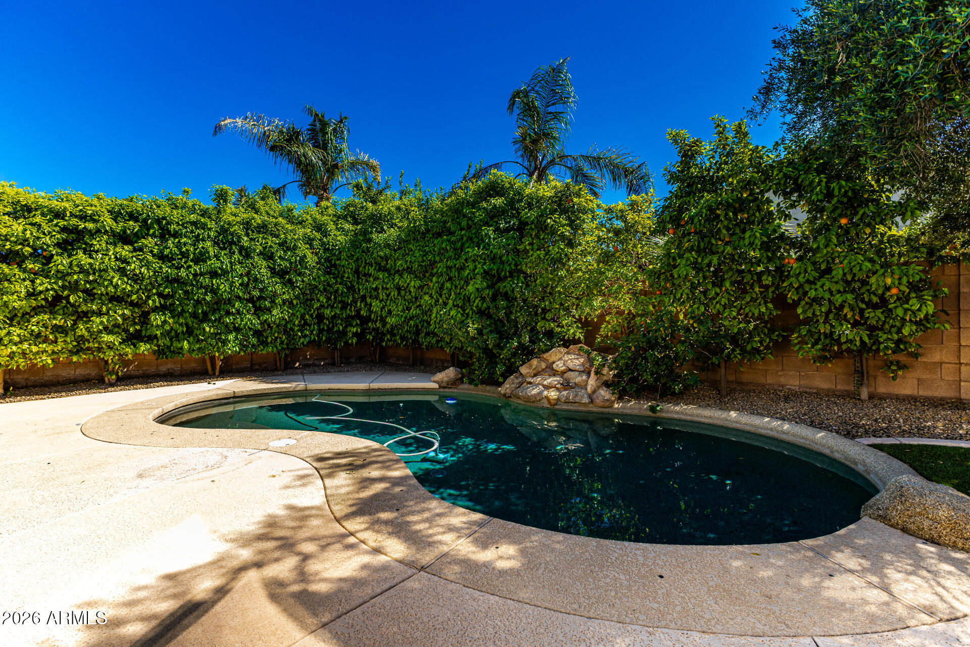 417 W DESERT BROOM Drive