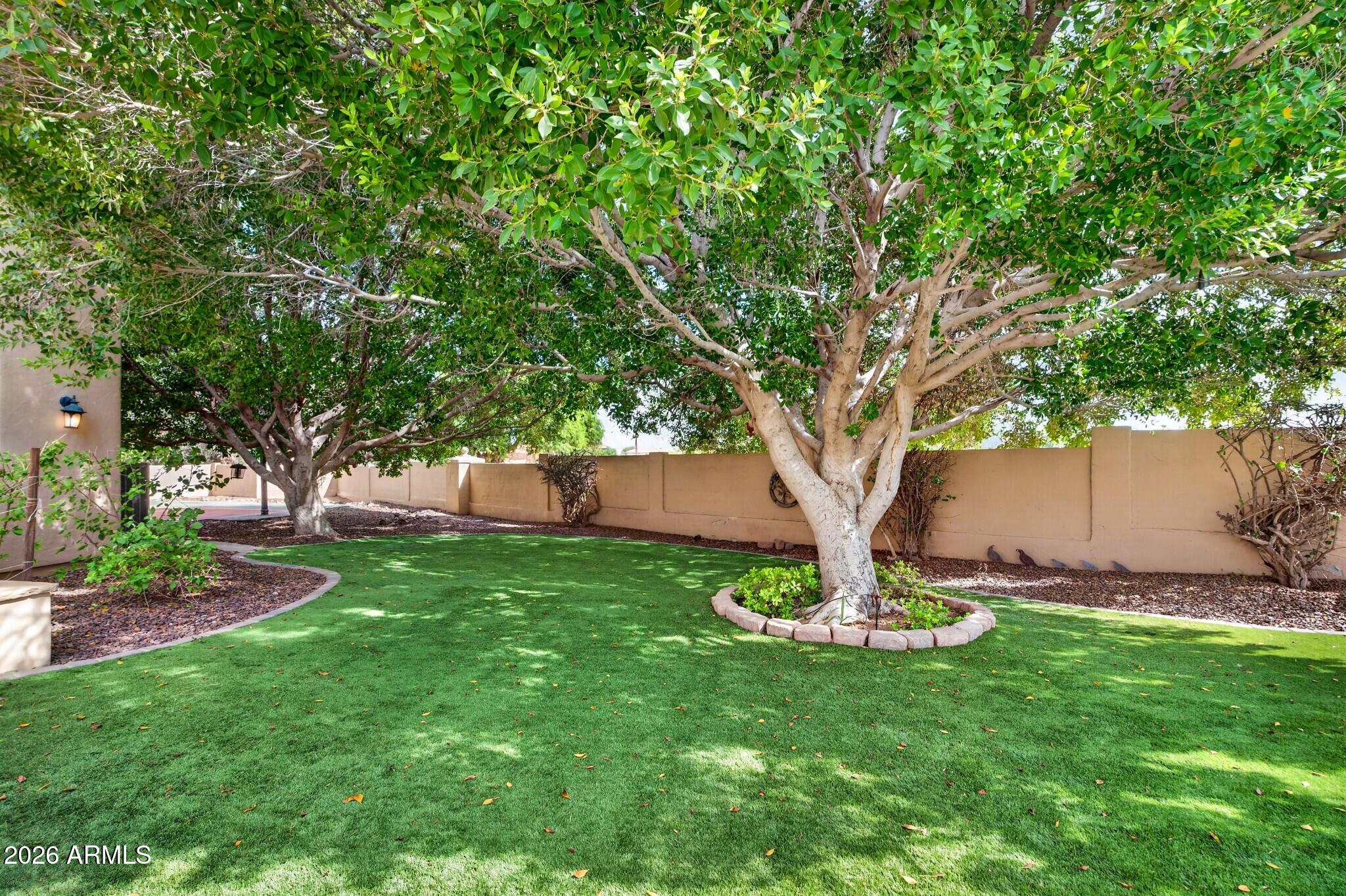 3631 E COCONINO Court