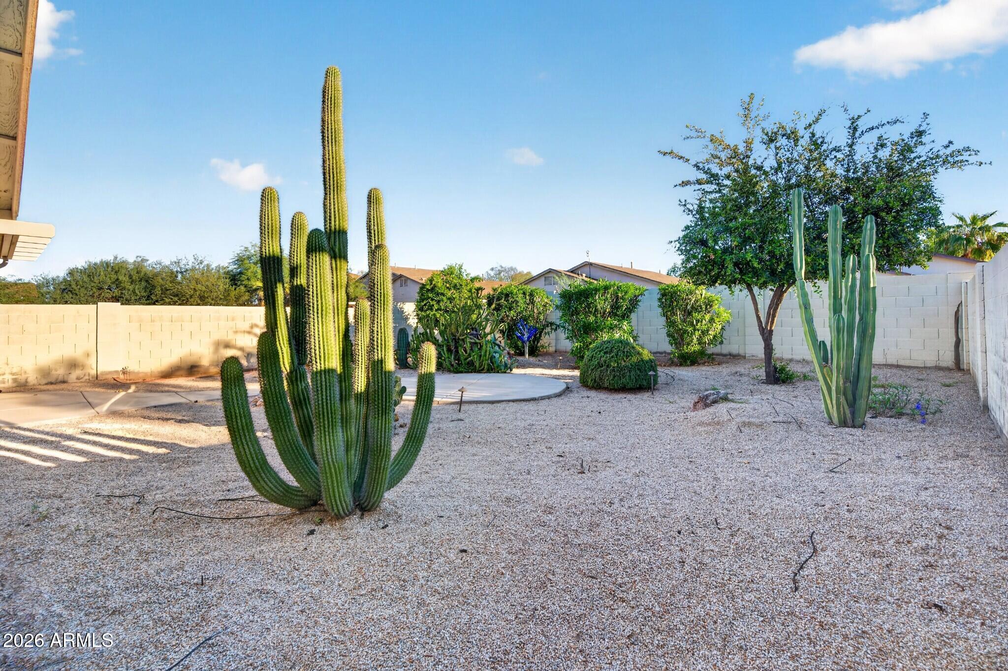 907 E COWBOY COVE Trail