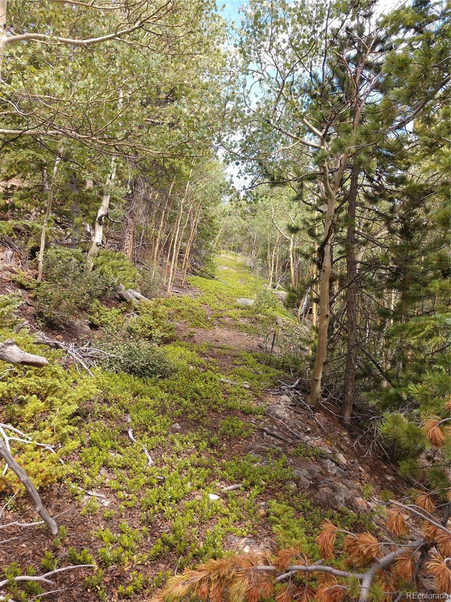 000 Ute Creek Road