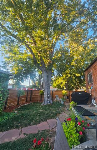 2995 Albion Street