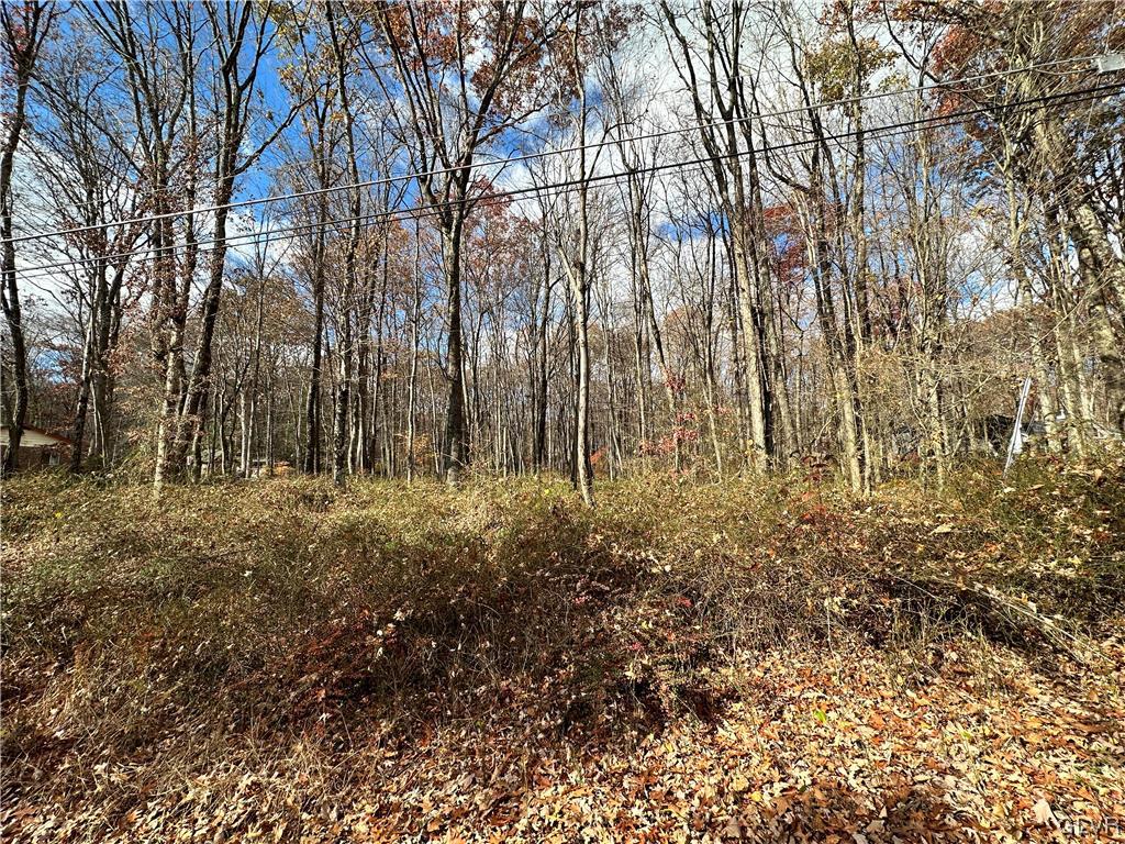 Chestnut Lot W076 Drive