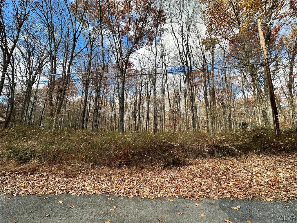 Chestnut Lot W076 Drive