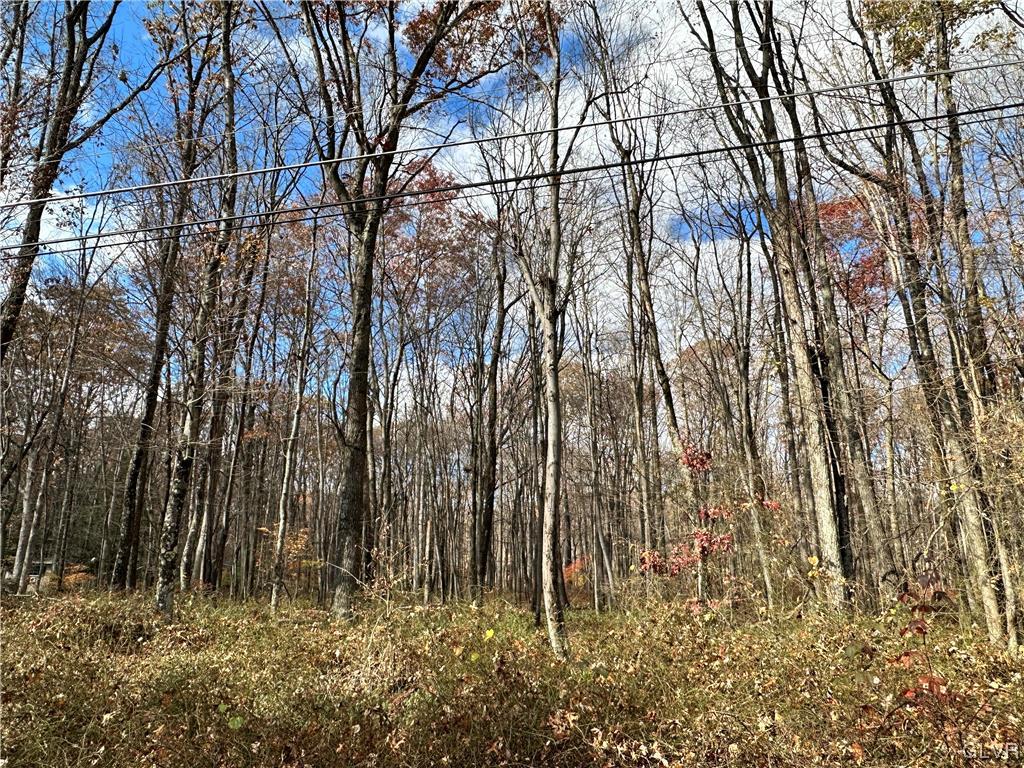 Chestnut Lot W076 Drive
