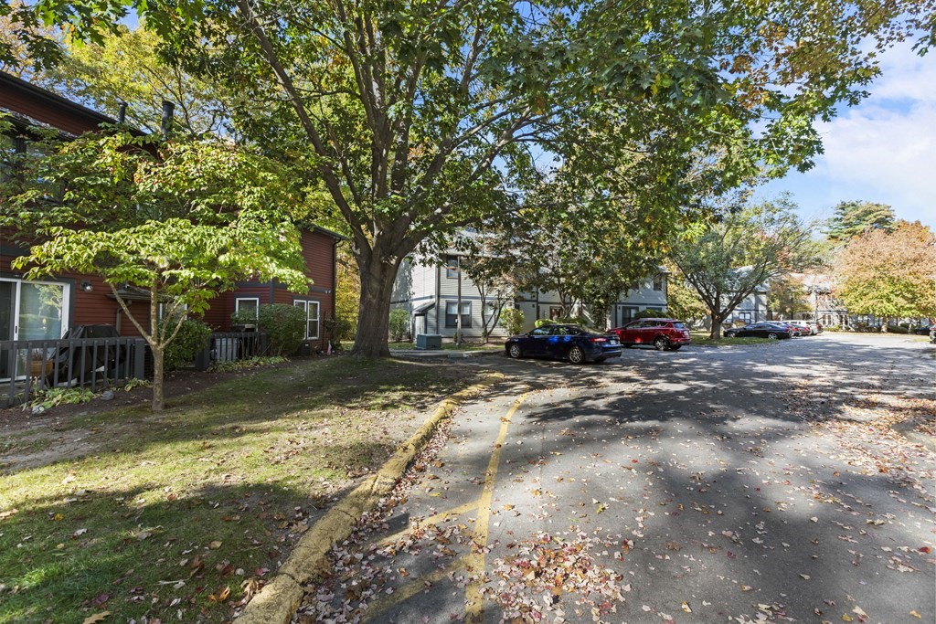 110 Dean Street # 19