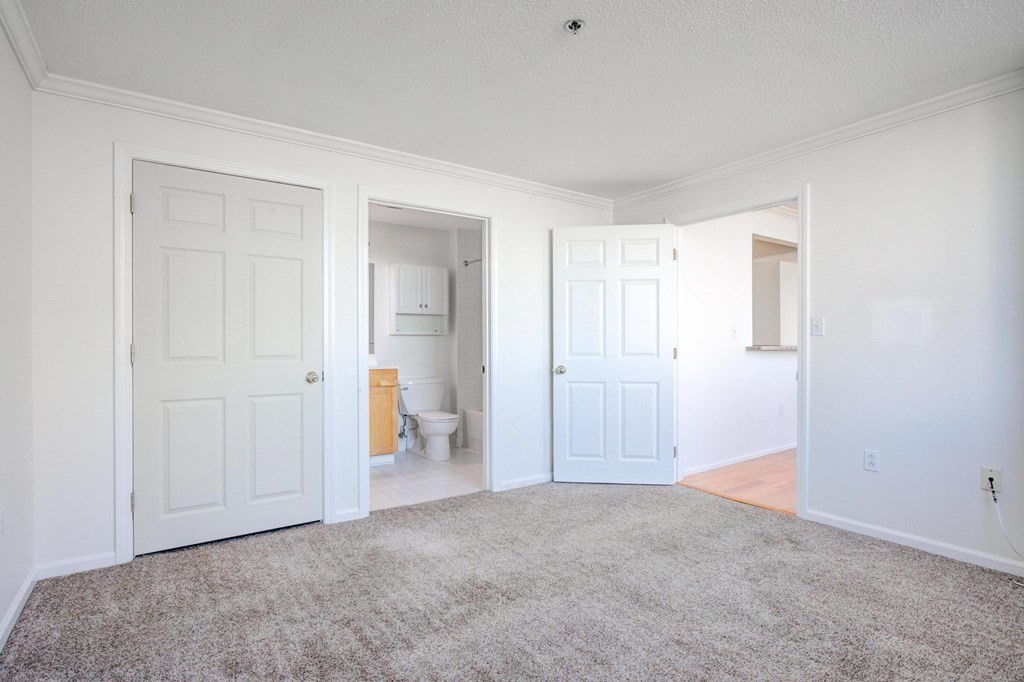 169 Monsignor O'brien Hwy # 802