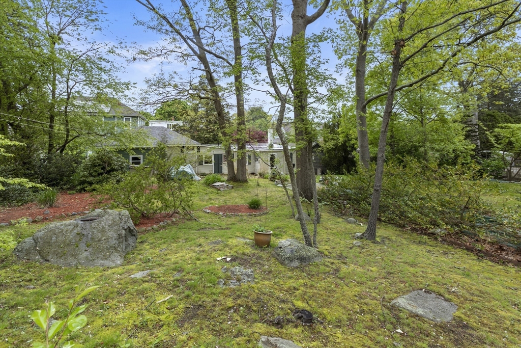 435 David Street