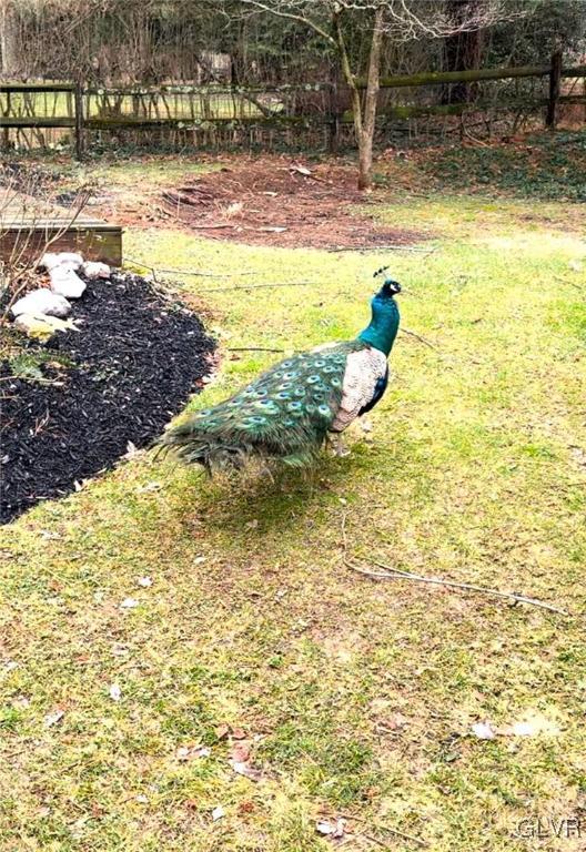 6464 Chestnut Hill Road