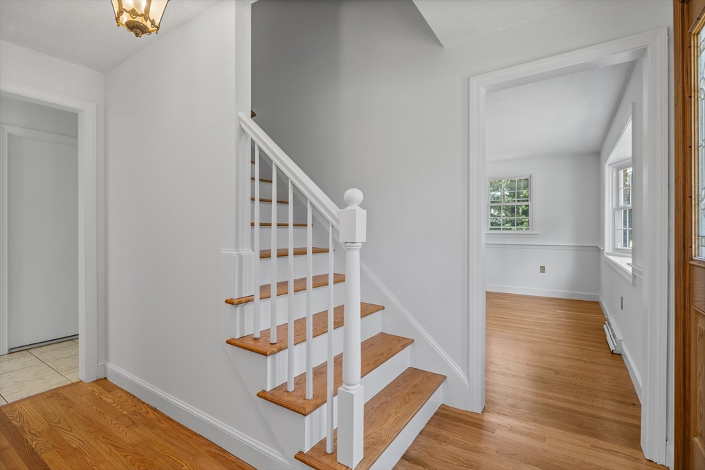 71 Maureen Dr