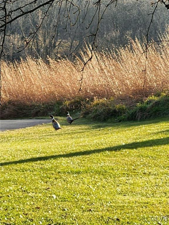 5857 Ruheton Hill Road