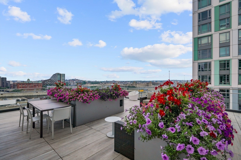 40 Traveler Street # 502