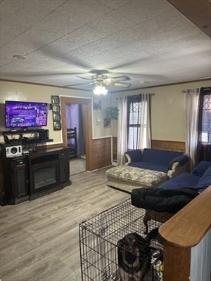 37 Crystal St